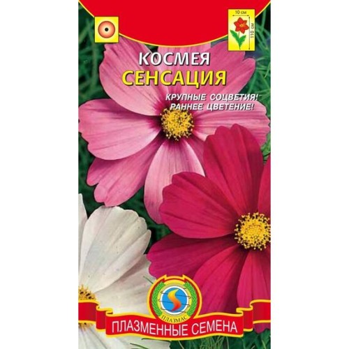 Космея Сенсация (Плазмас)