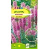 Лиатрис колосистый Пикадор 0.1г (Семена Алтая)