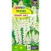 Люпин многолистный Белый аист 0.3г (Семена Алтая)
