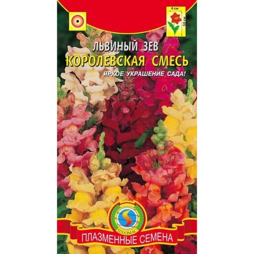 Львиный зев Королевская смесь (Плазмас)