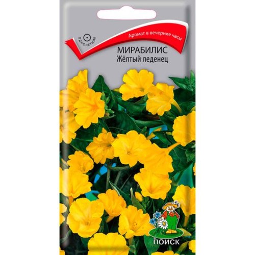 Мирабилис Желтый леденец 1г (Поиск)