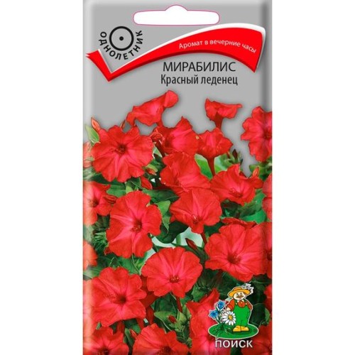 Мирабилис Красный леденец 1г (Поиск)