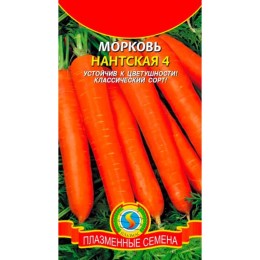 Морковь Нантская 4 2г (Плазмас)