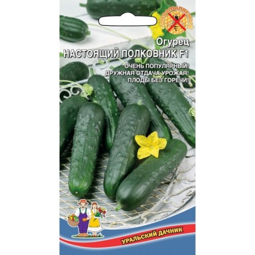 Огурец Настоящий полковник F1 10шт (Уральский дачник)