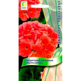 Пеларгония зональная Люстра Салмон 5шт (Поиск)