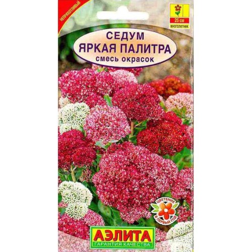 Седум Яркая палитра видовая смесь 0.01г (Аэлита)