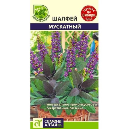 Шалфей Мускатный 0.1г (Семена Алтая)