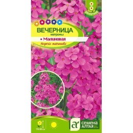 Вечерница Матроны Малиновая "Ароматы ночи" 0.2г (Семена Алтая)