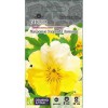 Виола Махровые узоры Лимонад F1 5шт (Семена Алтая)