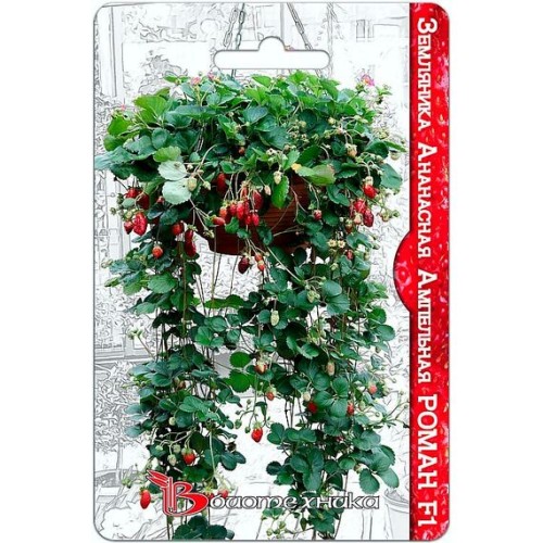 Земляника Ананасная Ампельная Роман F1 5шт (Биотехника)