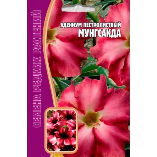 Адениум пестролистный Мунгсакда 3шт (Семена редких растений)