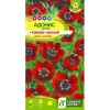 Адонис летний Кроваво-красный "Альпийская горка" 0.2г (Семена Алтая)