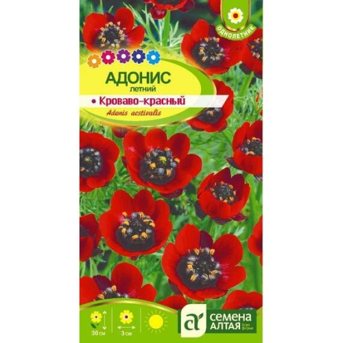 Адонис летний Кроваво-красный "Альпийская горка" 0.2г (Семена Алтая)