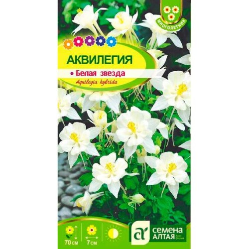 Аквилегия Белая звезда 0.1г (Семена Алтая)