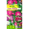 Астра карликовая Смесь окрасок 0.1г (Семена Алтая)