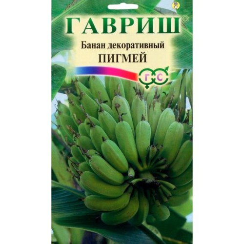 Банан декоративный Пигмей 3шт (Гавриш)