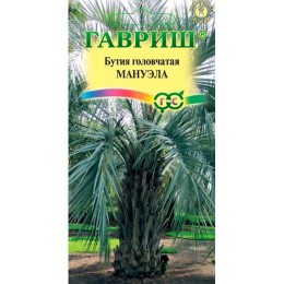 Бутия головчатая Мануэла 3шт (Гавриш)