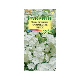 Флокс Друммонда Очарование белое (Гавриш)