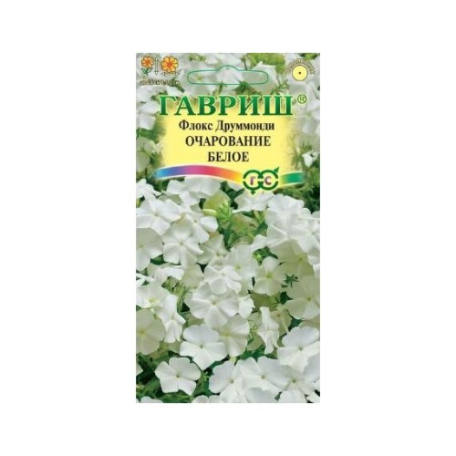 Флокс Друммонда Очарование белое (Гавриш)