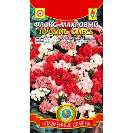 Флокс махровый Промис смесь 9шт (Плазмас)