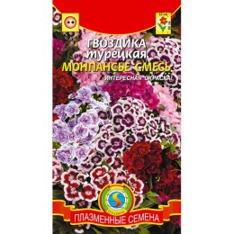 Гвоздика Турецкая Монпансье смесь (Плазмас)
