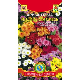 Хризантема Индийская смесь (Плазмас)