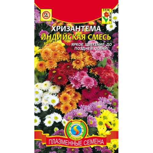 Хризантема Индийская смесь (Плазмас)