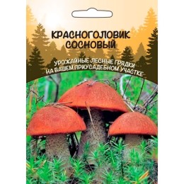 Красноголовик Сосновый 30мл (Уральский дачник)