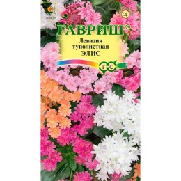 Левизия туполистная Элис 5шт (Гавриш)