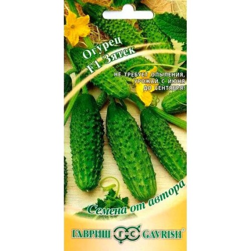 Огурец Зятёк F1 "Семена от автора" 10шт (Гавриш)
