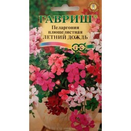 Пеларгония щитовидная Летний дождь 3шт (Гавриш)