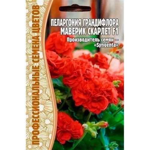 Пеларгония крупноцветковая Maverick Scarlet F1 3шт (Профессиональные семена цветов)