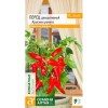 Перец декоративный Красная ракета 0.05г (Семена Алтая)