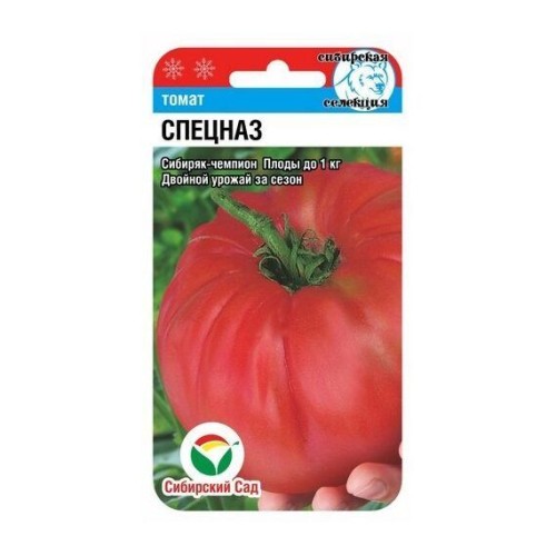 Томат Спецназ 20шт (Сибирский Сад)