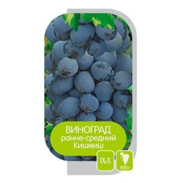 Виноград Кишмиш черный (Семена Алтая)