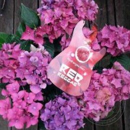 Гортензия крупнолистная Ред Регги