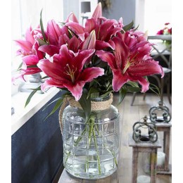 Лилия Лав Леттер