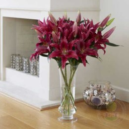 Лилия Уан Лав