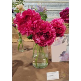 Пион Генри Бокстос