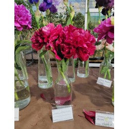 Пион Генри Бокстос