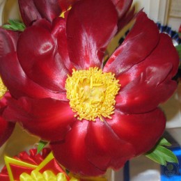 Пион Махогани