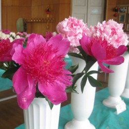 Пион Мадам Баттерфляй