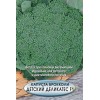 Капуста Детский деликатес (брокколи) *6шт