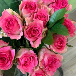 Роза Малибу