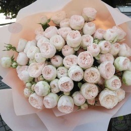 Роза Менсфилд Парк