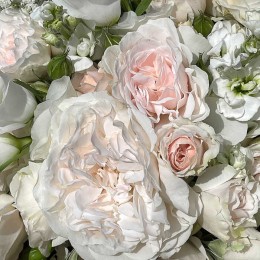 Роза Дэйм Дебора Джеймс Роуз