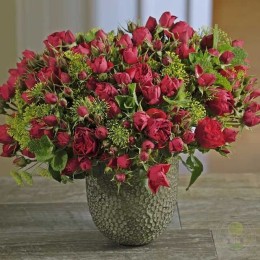 Роза Манора