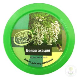 Набор "Вырасти, Дерево!" Белая акация