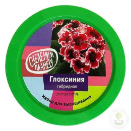 Набор "Вырасти, Дерево!" Глоксинья гибридная