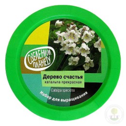 Набор "Вырасти, Дерево!" Дерево счастья катальпа